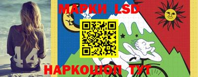 Альфа ПВП Можга