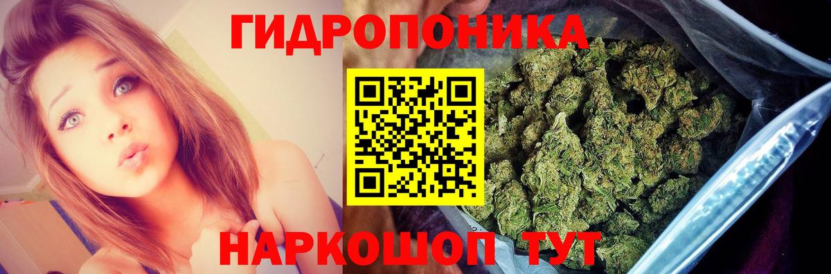 Канабис SATIVA & INDICA  Вход с VPN  Чайковский  Бошки Шишки LSD WEED  МАРИХУАНА ГИДРОПОН 